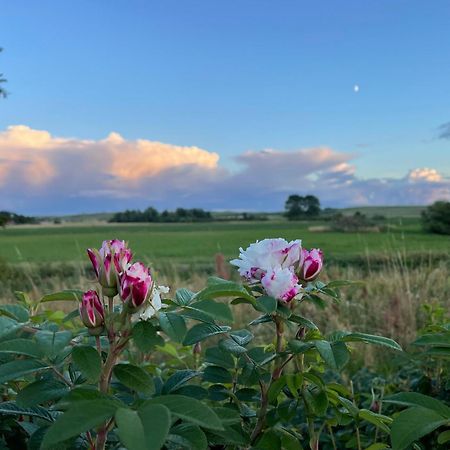 Droemhus Pa Oesterlen Glemminge 外观 照片